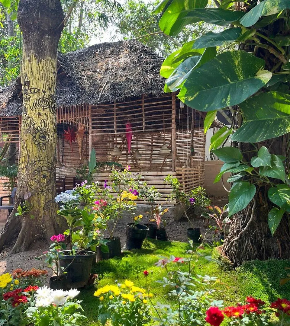 Bava Ac Rooms At Casa De Aadi Varkala
