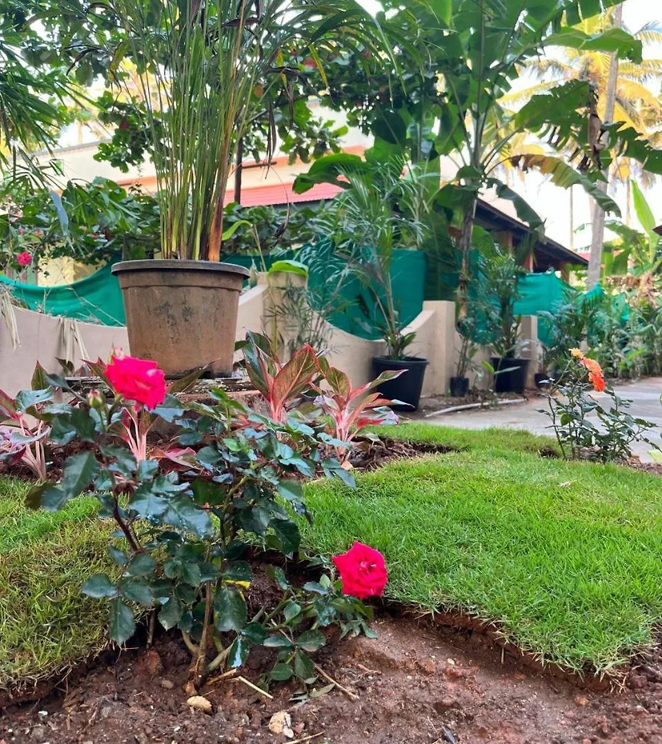 Bava Ac Rooms At Casa De Aadi Varkala Indien